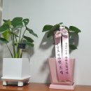 에코시티 검도관 이미지