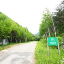 국립삼봉자연휴양림 네이버블로그