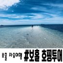 보홀민박