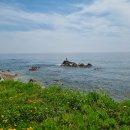 해파랑길 23코스(구 후포치안센터-후포항입구)와 24코스(후포항 입구 - 월송정)를 다녀오다.