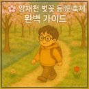 강남구청 대여소 | 🌸 양재천 벚꽃 등(燈) 축제 완벽 가이드 🌸(포토존·동선·주차 총정리)