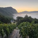 두루봉농원 이미지