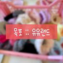 [동구샘터] 모루공예의 모든 것(모루인형, 모루플라워 만들기) | [20240616] 전남 목포 유유랜드 :: 목포 근대문화역사거리 소품샵&amp;공방 모루인형 커플 원데이클래스
