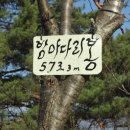 춘천주유소 이미지
