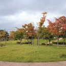 마리미공원 이미지