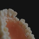 거북이한의원 이미지