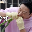우장창창 이미지
