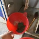 개미자판기