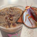 카페토핑