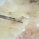 중앙동259 이미지