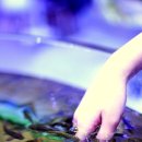 고양스타필드 매직플로우, 아쿠아리움 카페 디테일 후기