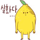 산휘네 이미지