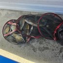 정안 낚시터 이미지