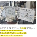 상록 동물병원 이미지