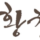 레인포러스 | 황칠나무효능 알고 마시니 더 건강해지는 느낌_ 곡우 황칠차_ 레인포러스