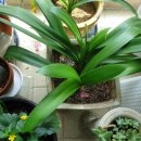 예로체한의원 이미지