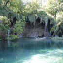 로젠하임 이미지