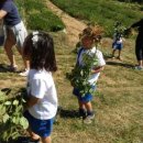 삼송농장 이미지