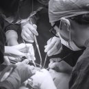 더보스톤치과병원 이미지