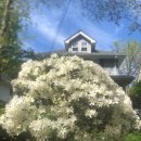 귀하도다 이미지