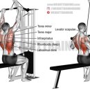 유성PT 용쓰짐 헬스장 이미지