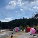 포천 아이랑 가볼만한 곳 키즈테마파크 스테이수목원 솔직후기