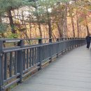 용마산 자락길 코스 이미지