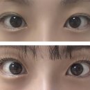 한올모아 이미지