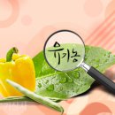 태리의료기 이미지