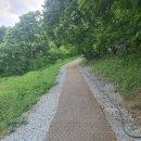 노루벌적십자생태원 이미지