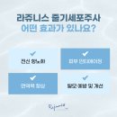 (주)프로디젠 이미지