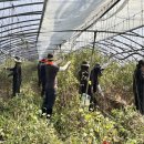 청양 2리 이미지