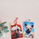 신용수목장 이미지