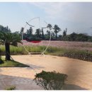 비자림빌리지 이미지