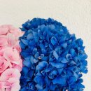 박정자농장 이미지