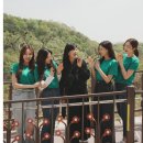 법인향림 이미지