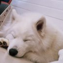 용평3길 이미지