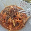 일품회집 | [남해 맛집] 여름 필수 코스! 쫀득한 메밀면이 일품인 '부산횟집' 물회 후기(내돈내산)