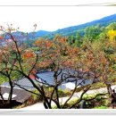 남산3리마을회관 이미지