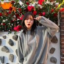 지은 Daum카페
