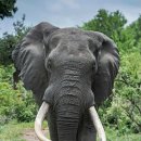 놀작마이아트미술학원 이미지