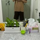충주보건안마센터 | 전문가에게 받는 낙성대 마사지 관악보건지압마사지안마센터 솔직후기