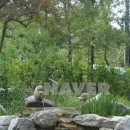 천안동일공인중개사사무소 이미지