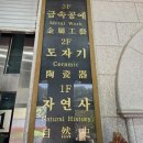 박물관 수 | 강원 삼척 세계의 다양한 유물을 볼수있는 사립강원종합박물관 방문 후기