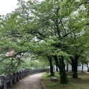 스톡(stock) 이미지