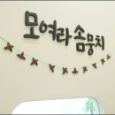 대구애견미용 강아지호텔 모여라솜뭉치 이미지