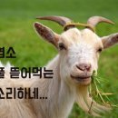 G.O.A.T 이미지