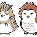 국제상가 이미지