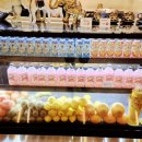 제니아빈 이미지