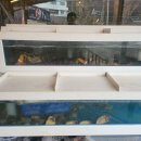 군산어원 이미지